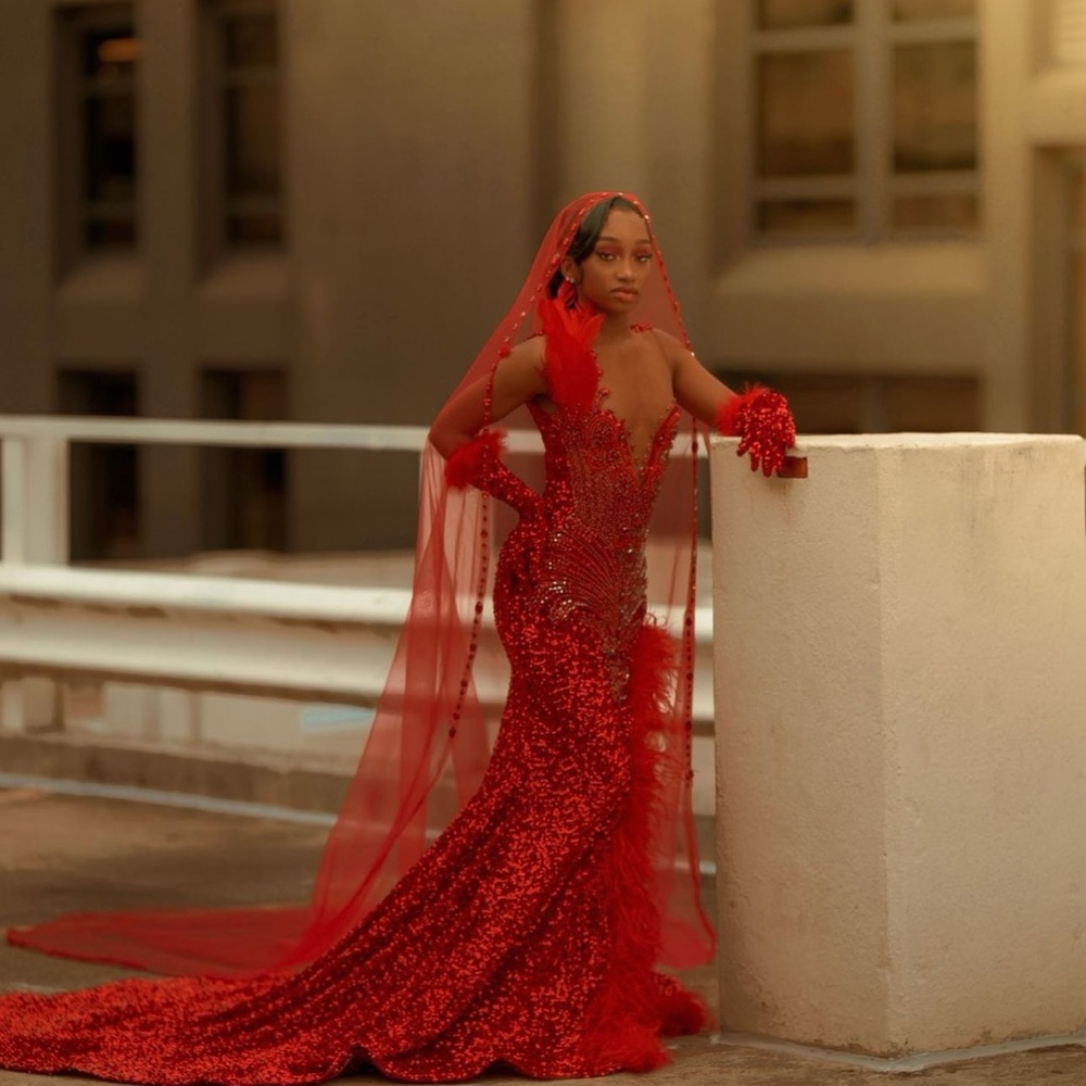 Prom Dress with veil and gloves included
